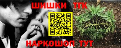 шишки Краснокаменск
